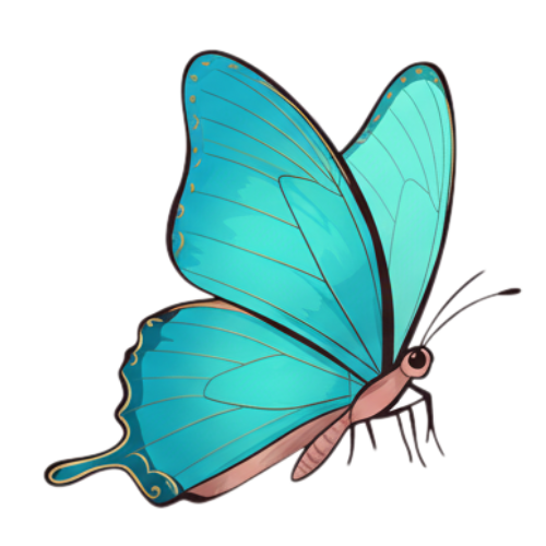 butterfly 1